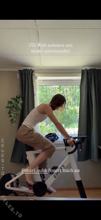affe_auf_bike