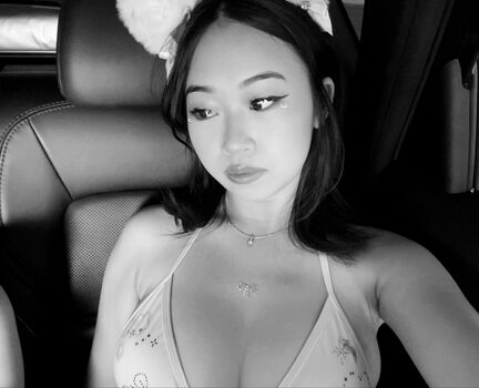 Mei Lee