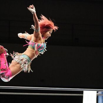 Mina Shirakawa