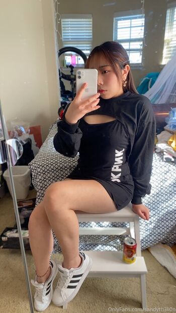 sandythelionfree