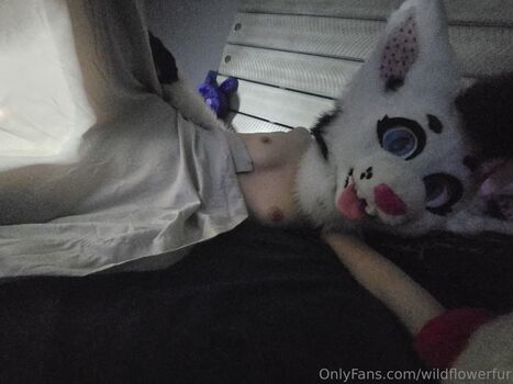 wildflowerfur